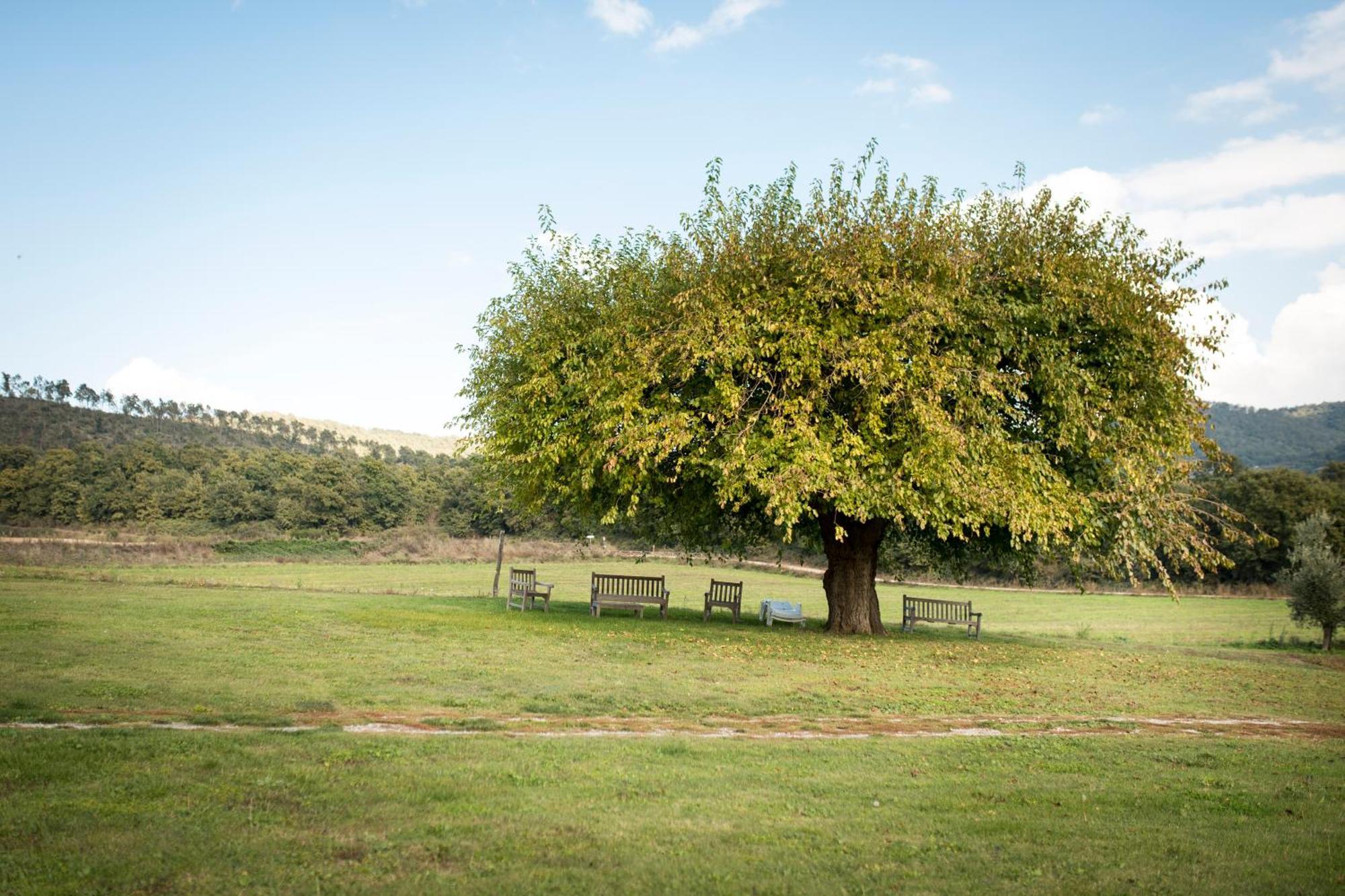 Agri Relais Il Poderaccio Di بولسينا المظهر الخارجي الصورة