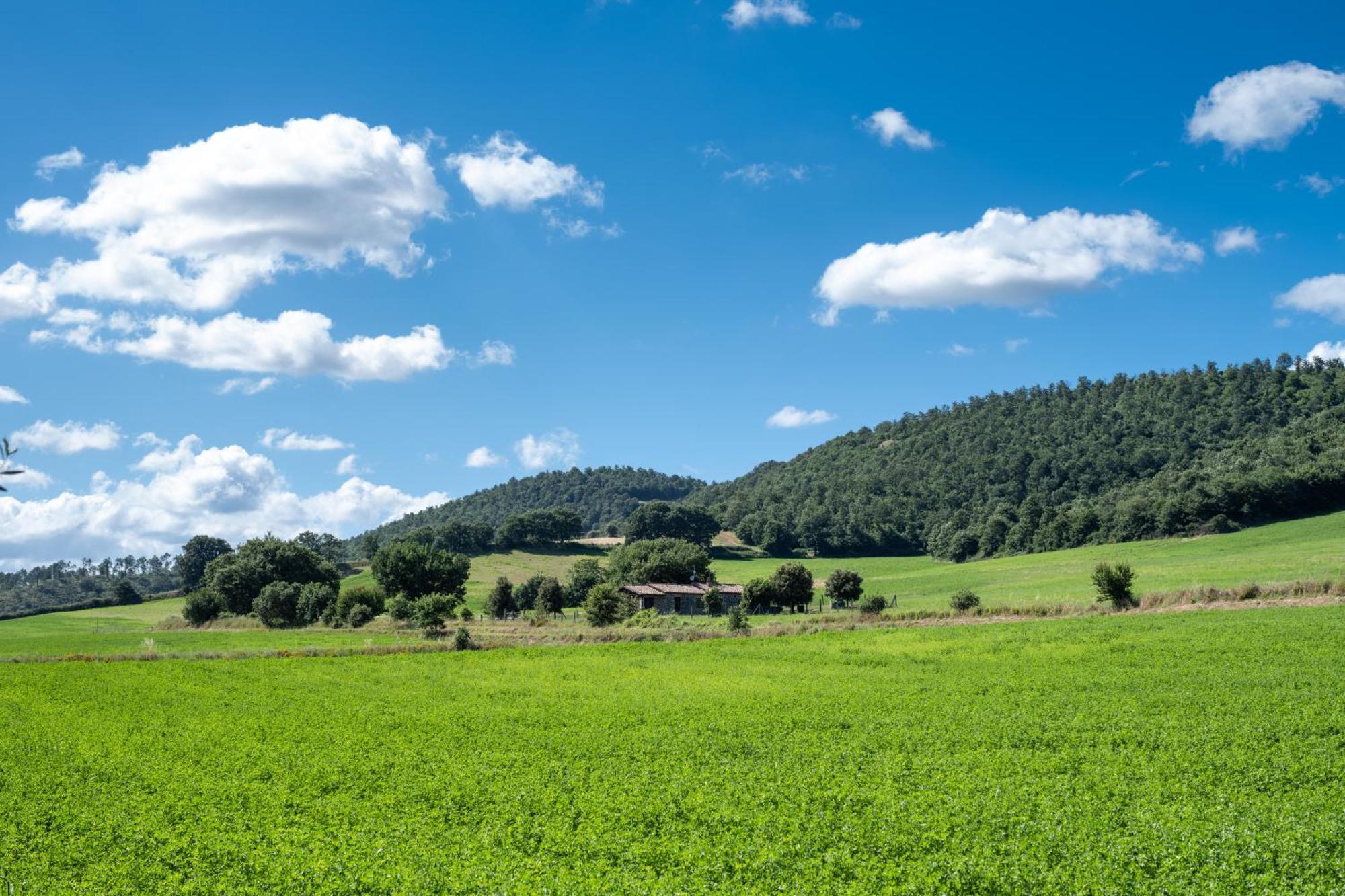 Agri Relais Il Poderaccio Di بولسينا المظهر الخارجي الصورة