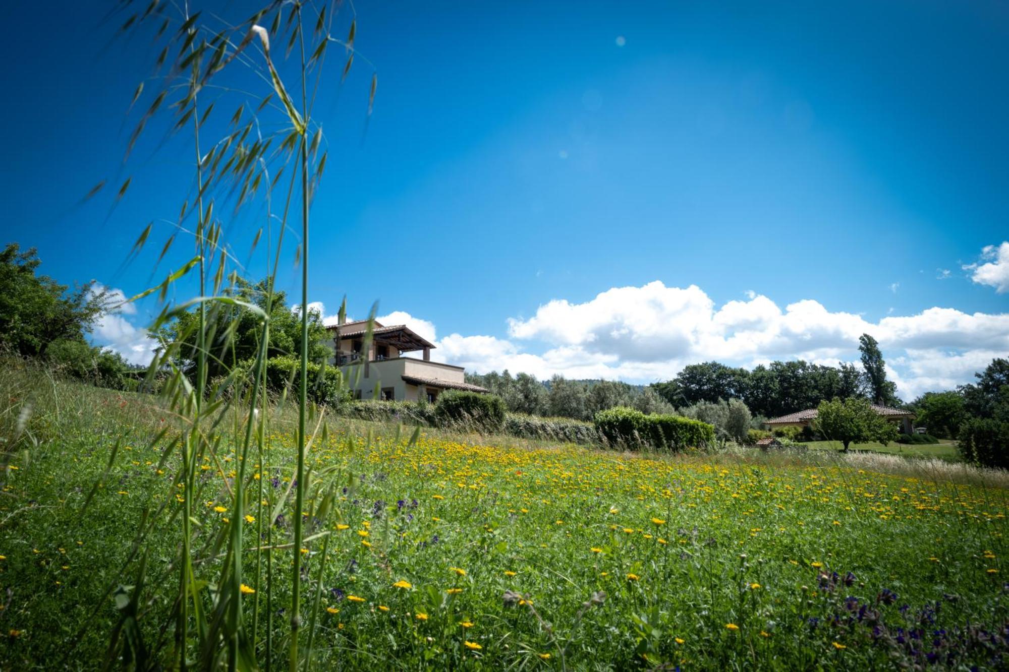 Agri Relais Il Poderaccio Di بولسينا المظهر الخارجي الصورة