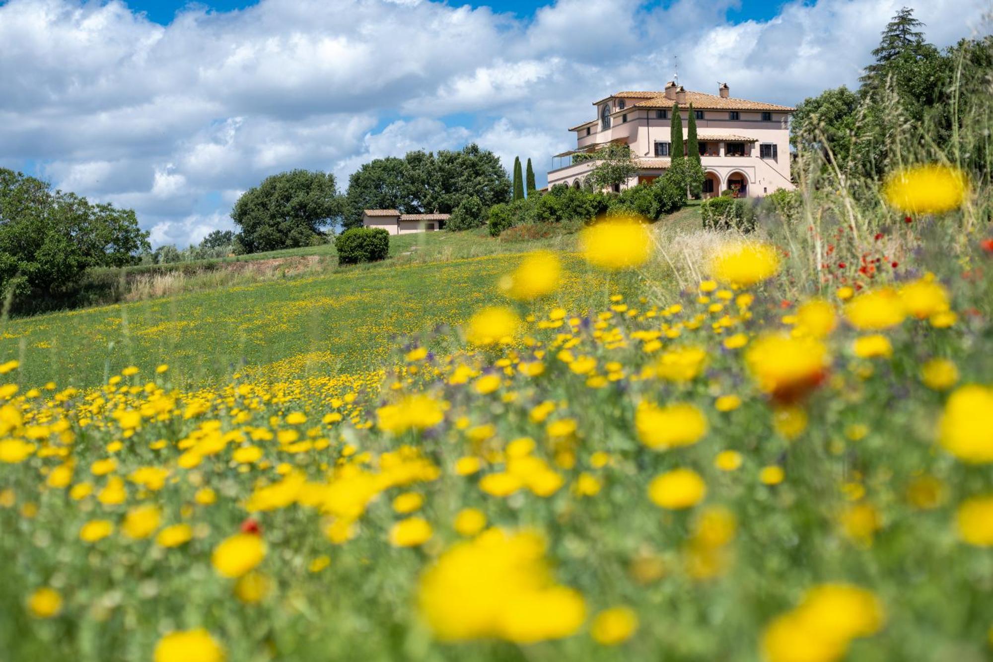 Agri Relais Il Poderaccio Di بولسينا المظهر الخارجي الصورة