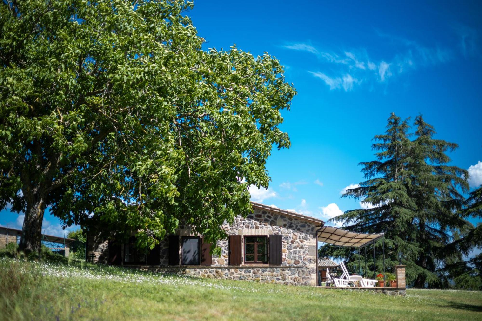 Agri Relais Il Poderaccio Di بولسينا المظهر الخارجي الصورة
